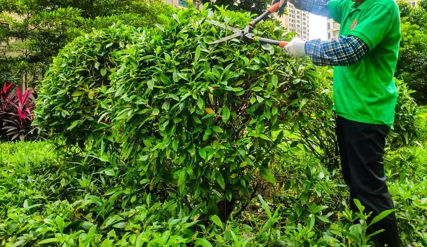 户外花箱园林景观设计