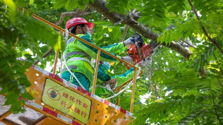 什么人喜欢园林景观设计